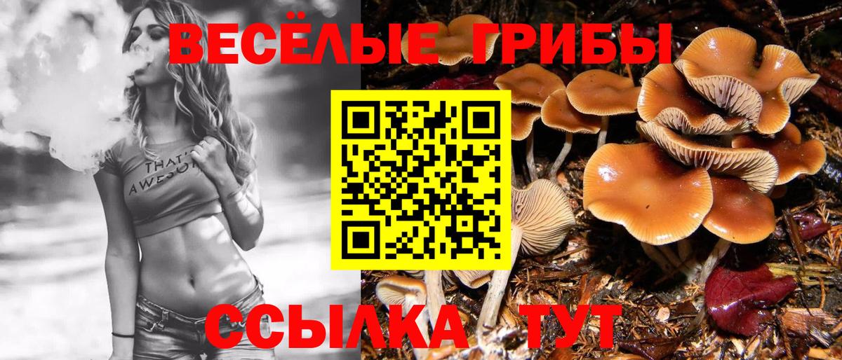 Красноармейск  Псилоцибиновые грибы Psilocybe  Вход с VPN  Псилоцибиновые грибы Magic Shrooms 