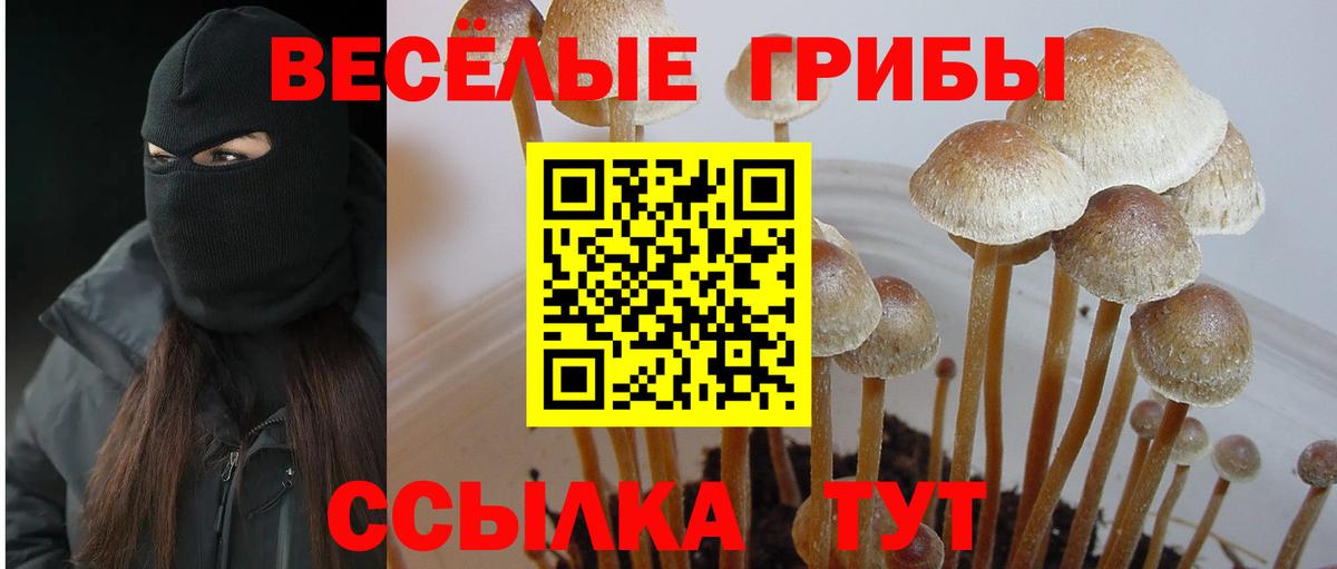 Псилоцибиновые грибы Magic Shrooms Красноармейск
